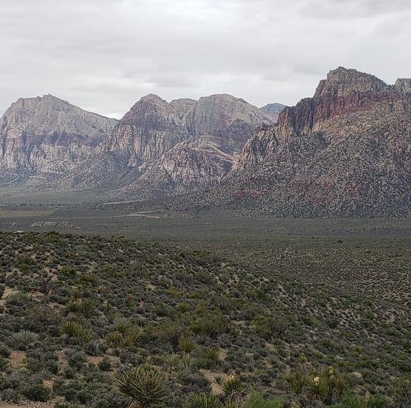 Meet your Posher, Patrick - Picture 1 of 1